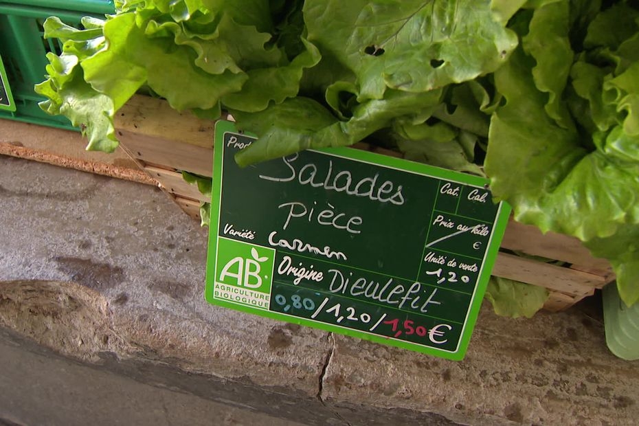 Affichette prix de la salade