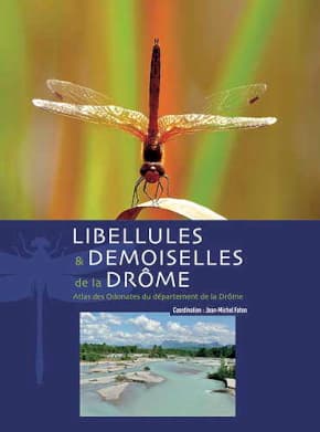 libellules et demoiselles